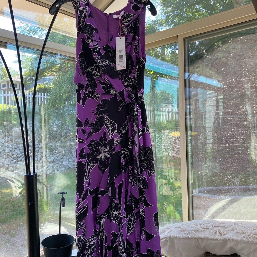 NWT Parker dress